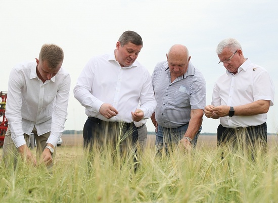 Андрей Бочаров посетит хлебоприемное предприятие под Волгоградом